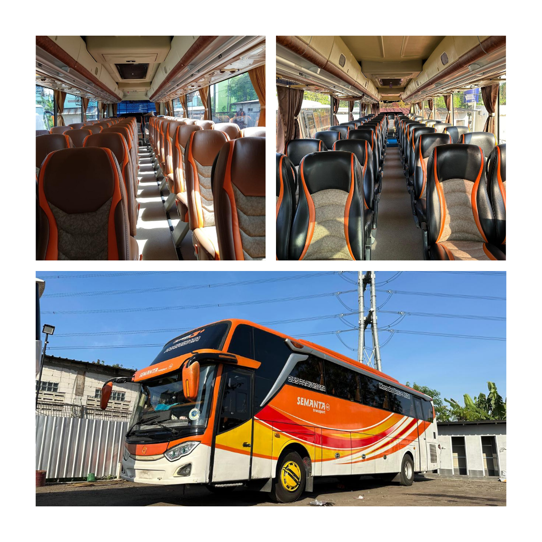 Big Bus 48-59 Seats